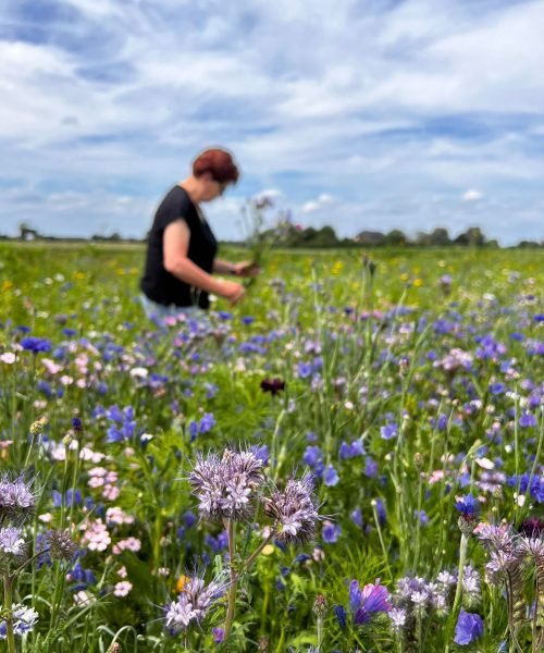 Afbeelding van WhatsApp op 2023-11-22 om 10.09.38_3a1e35a8