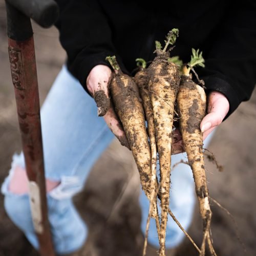 Afbeelding van WhatsApp op 2024-03-19 om 10.35.26_a5b924e5