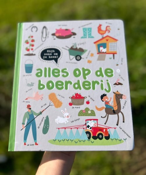 WhatsApp Image 2025-10-02 at 16.11.04 (1)