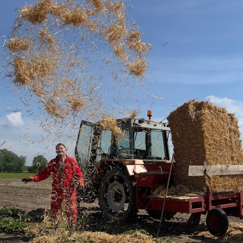 bfe7d592-4353-43f0-a695-a6be4edf32e1