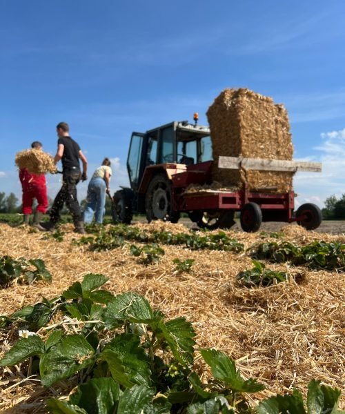 f6e09140-9765-49e6-add9-a444334b2e38 (1)